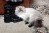 DSCN7668.JPG