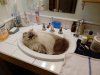 DSCN7718.JPG