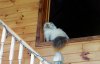 DSCN7728.JPG