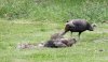 DSCN8109.JPG