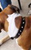 IMG_1657155453141.JPEG