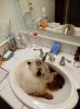 DSCN8268.JPG