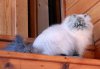 DSCN8481.JPG