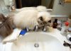 DSCN8563.JPG