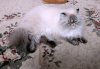 DSCN8740.JPG