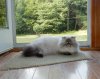 DSCN8790.JPG