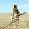 eba0b7620403b0bfcdf71640a6e56a28.gif
