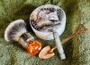 sotd 08.08.22.jpeg
