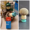Brush collage  August 9 2022.jpg