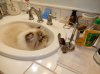 DSCN9265.JPG