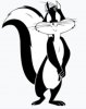 Screenshot_20220827-141209_Chrome.jpg