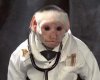 monkeydoc.jpeg