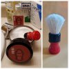 Brush collage  Septemper 1 2022.jpg