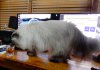 DSCN9759.JPG