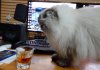 DSCN9761.JPG