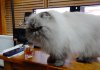 DSCN9764.JPG