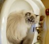 DSCN9857.JPG