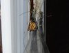 DSCN9890.JPG