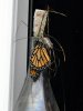 DSCN9897.JPG