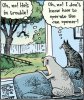 d690b7c26783eab8207e5e07afd0065a--can-opener-cat-vs-dog.jpg