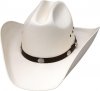 Hat.jpeg