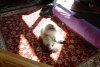 DSCN0108.JPG