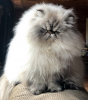 IMG_0284a.png