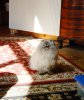 DSCN0147.JPG