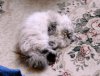 DSCN0239.JPG
