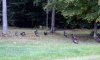 DSCN0412.JPG