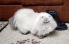 DSCN0437.JPG