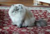 DSCN0445.JPG
