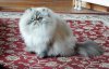 DSCN0447.JPG