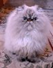 DSCN0668.JPG
