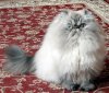 DSCN0795.JPG