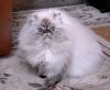 DSCN0817.JPG