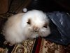 DSCN1561.JPG