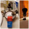 Brush Collage November 29 2022.jpg
