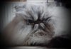 DSCN1718.JPG