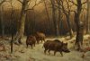 boar3.jpg
