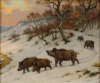 boar2.jpg