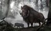 boar1.jpg