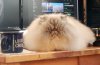 DSCN2217.JPG