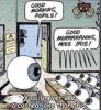 cornea.jpg