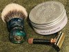 sotd27.02.23.jpeg
