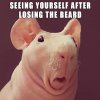 of-a-surprised-looking-hairless-rat-as-to-how-it-feels-and-looks-after-you-shave-off-your-beard.jpeg