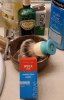 SOTD August 9 2022.jpg