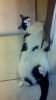 2011-07-08_06-31-30_478.jpg