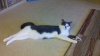 2011-05-01_18-58-16_343.jpg