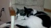 2012-02-21_20-23-15_156.jpg